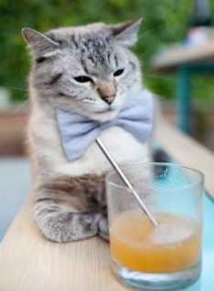 世界杯激情飙升：看点十足的激情盛宴，世界杯激动人心时刻